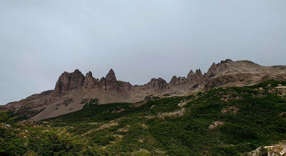 Guía de Viaje: Circuito Dientes de Navarino