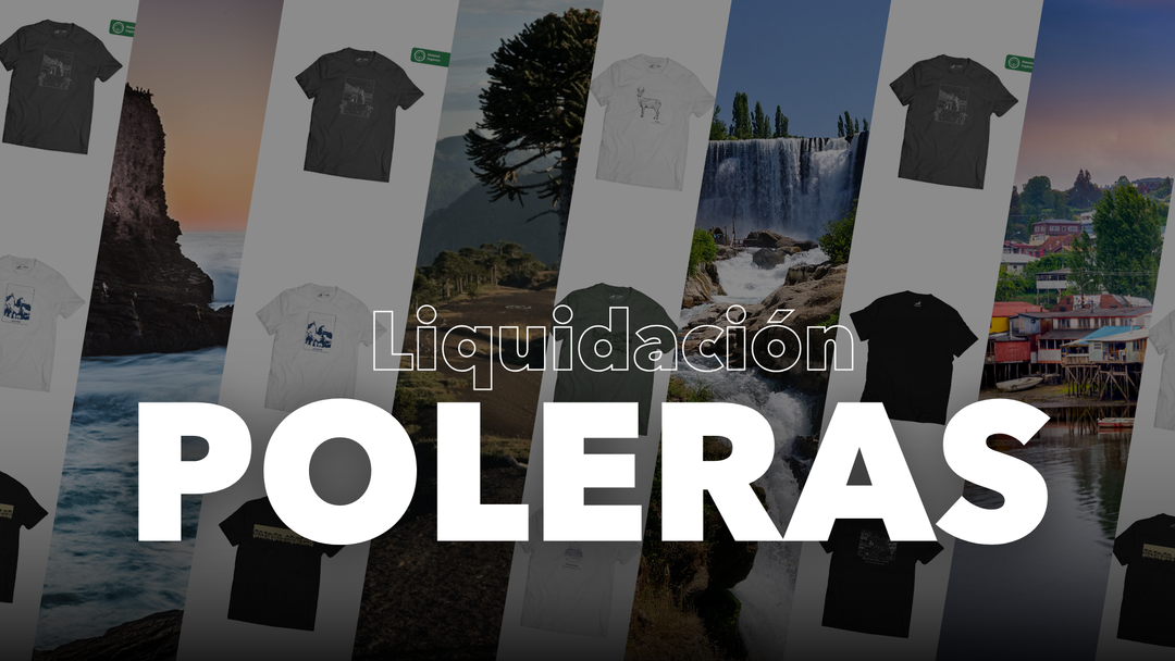 Liquidación