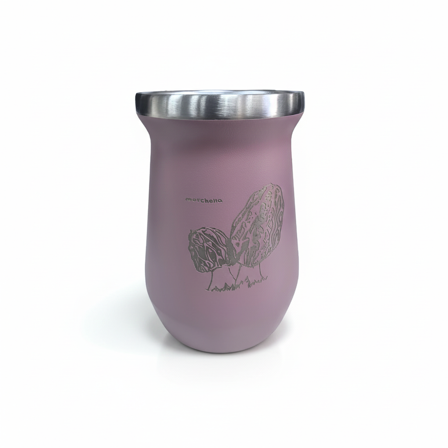 Mate Morchella