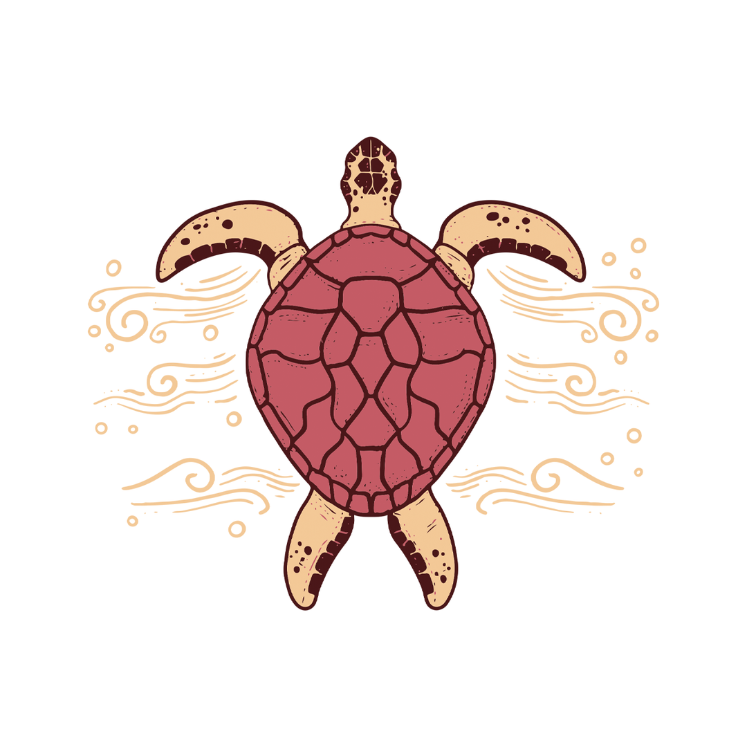 Polera Mujer Tortuga