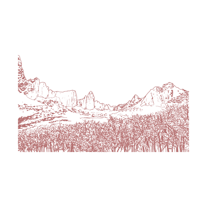 Polera Mirador Británico