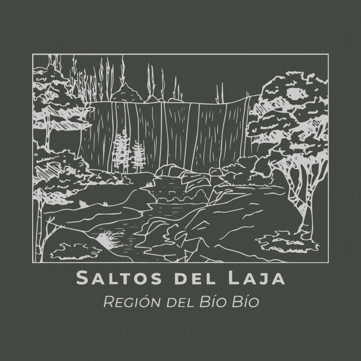 Polera Saltos del Laja Orgánica