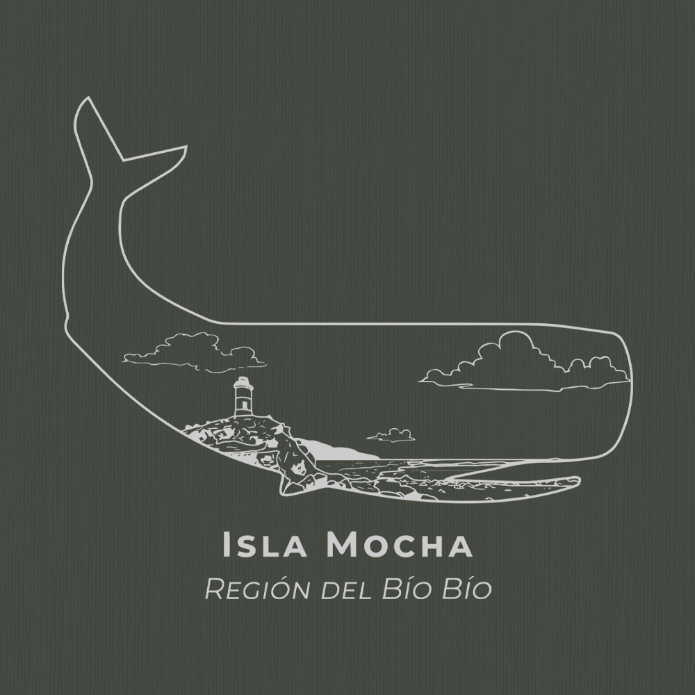 Isla Mocha