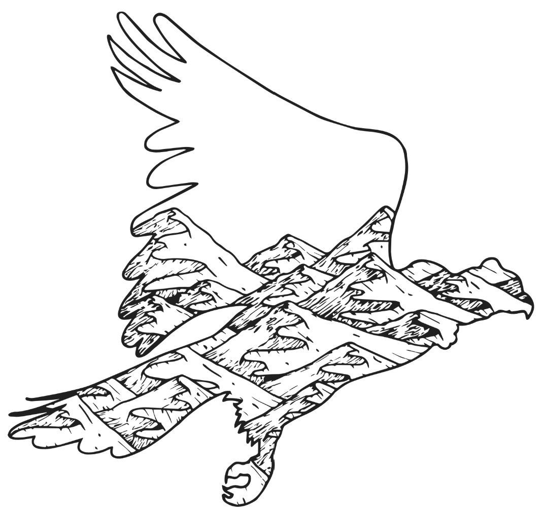 Cóndor