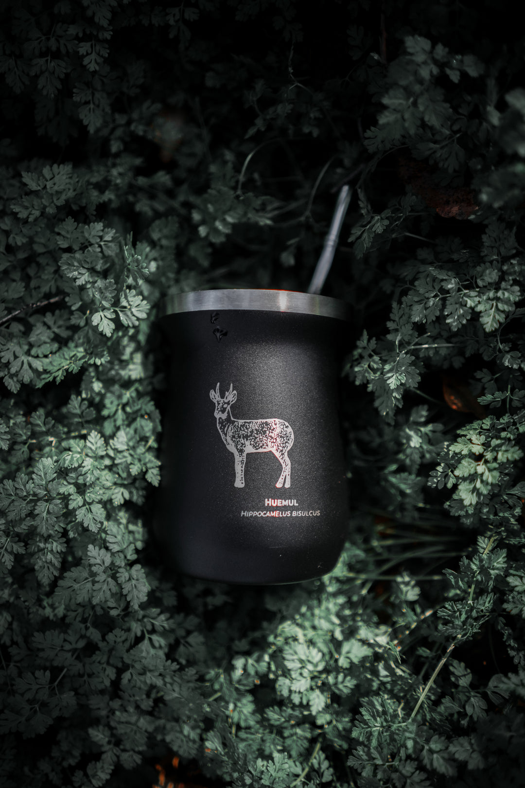 Mate Huemul