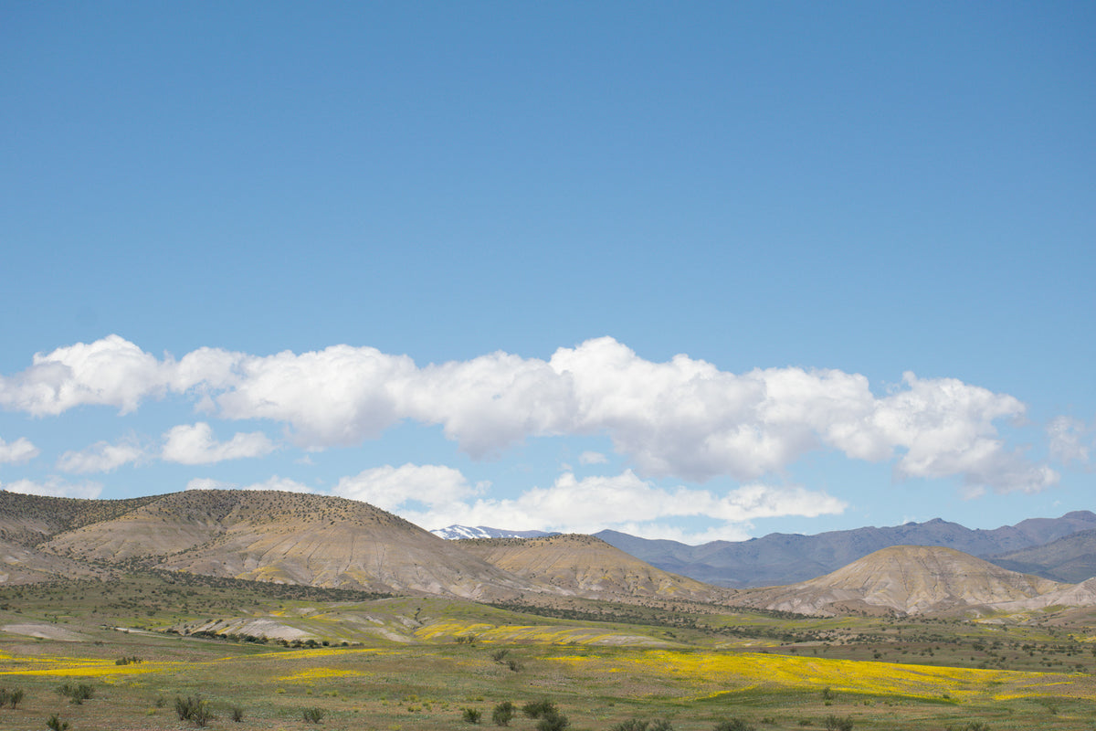 Ruta 5 al norte