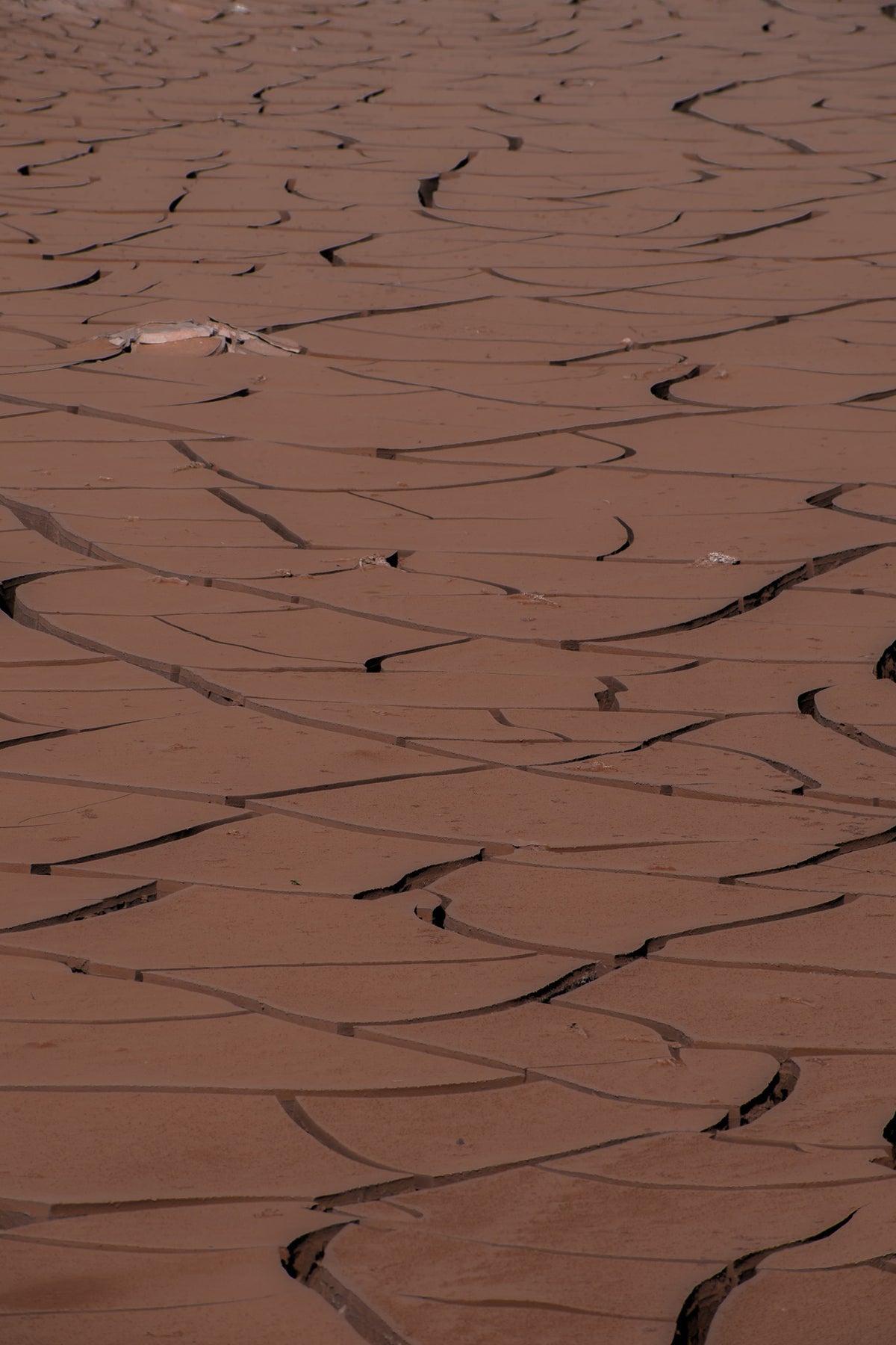 Mudcracks
