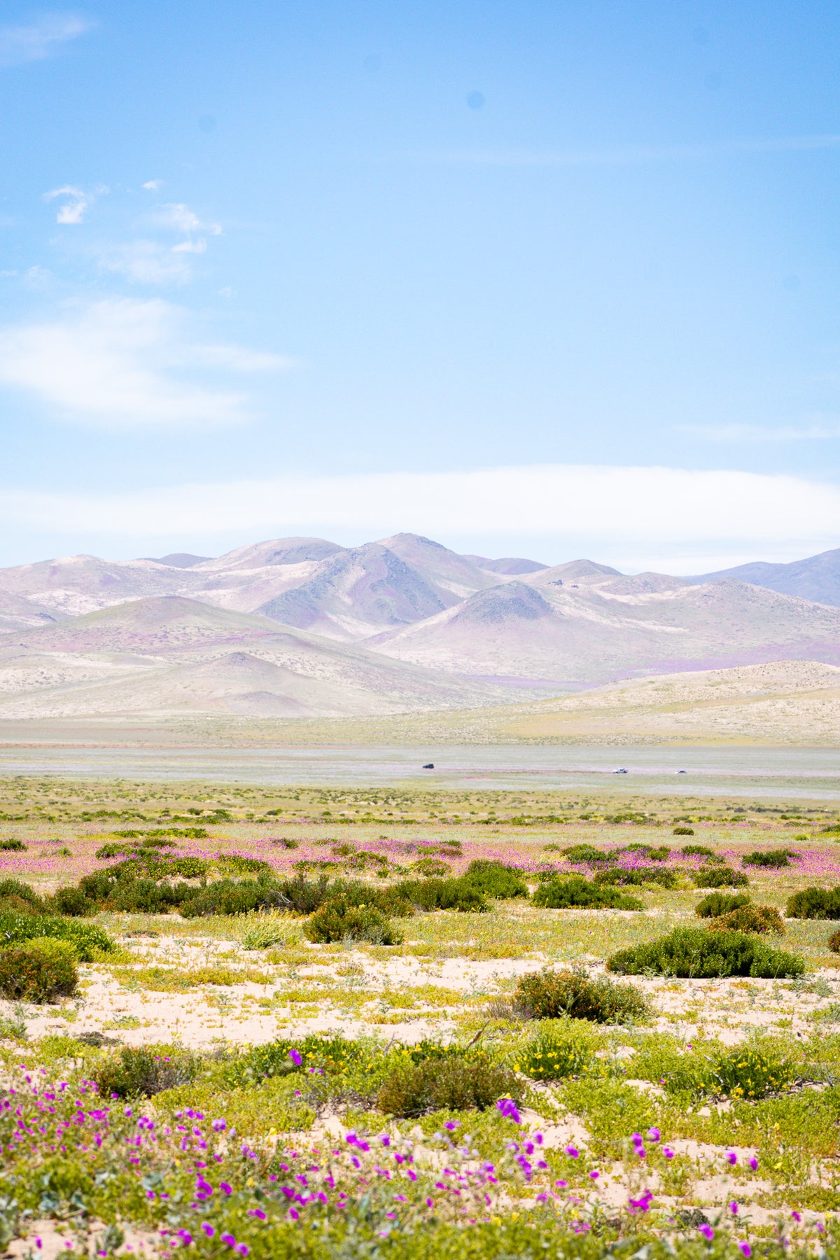 Camino al Parque Nacional