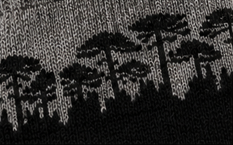 Araucarias