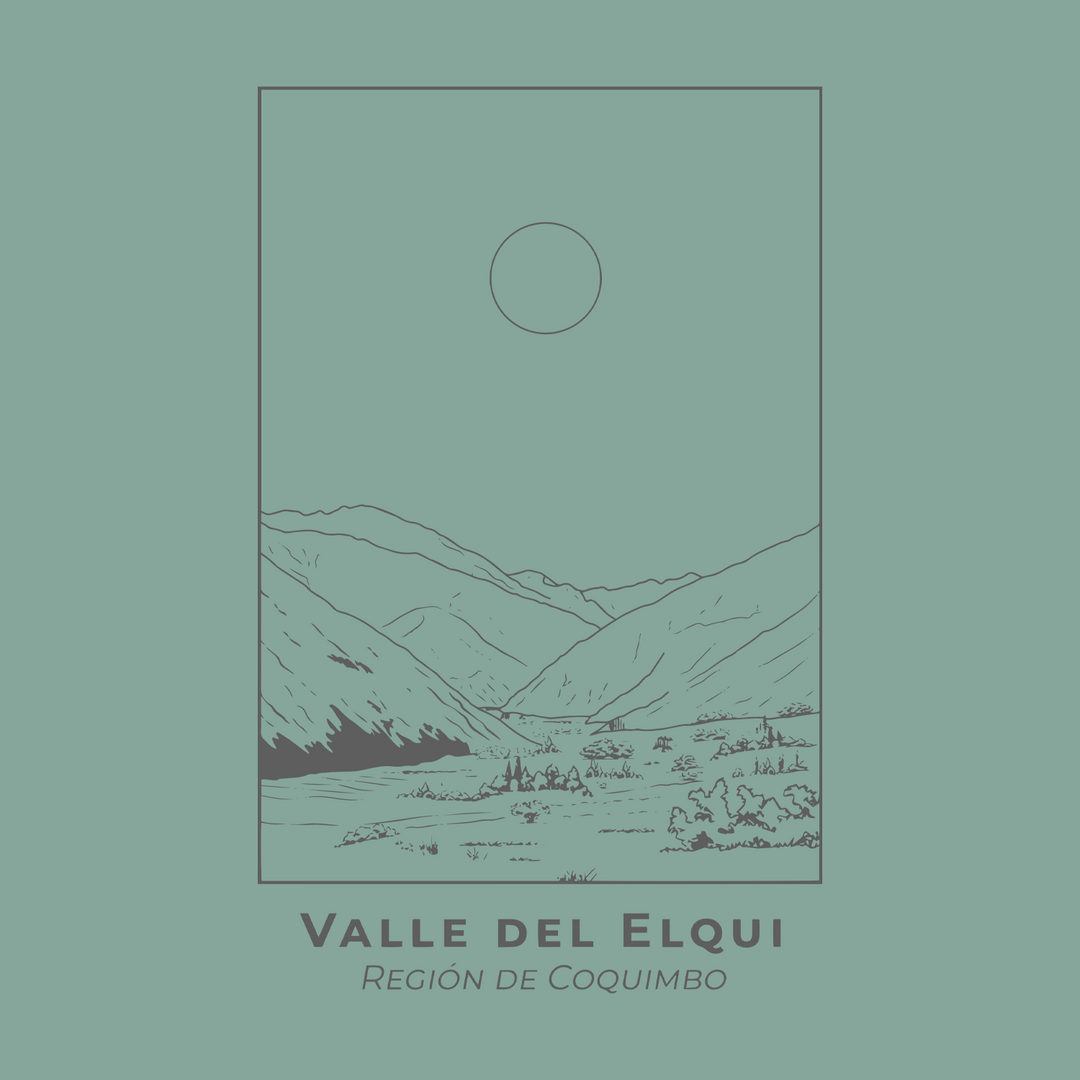 Polera Valle del Elqui Orgánica